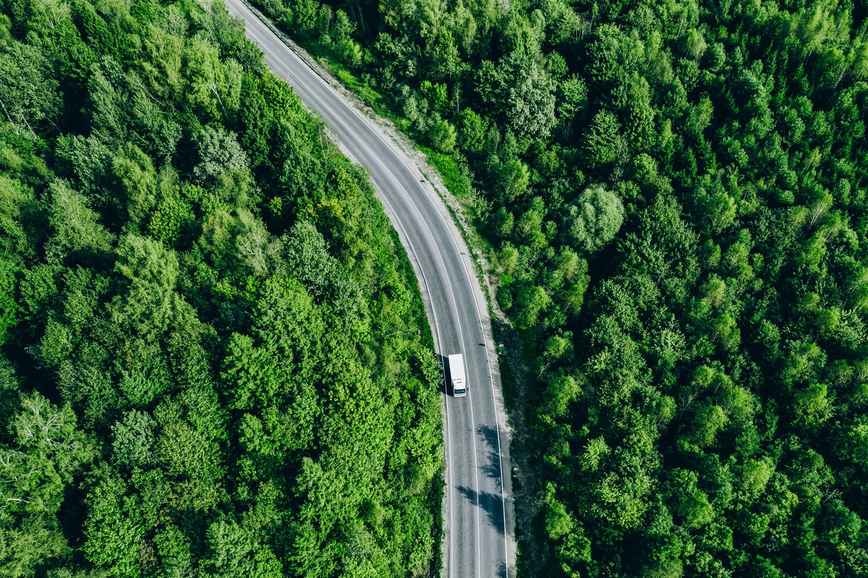 Vilkikas važiuoja mišku apsuptu keliu